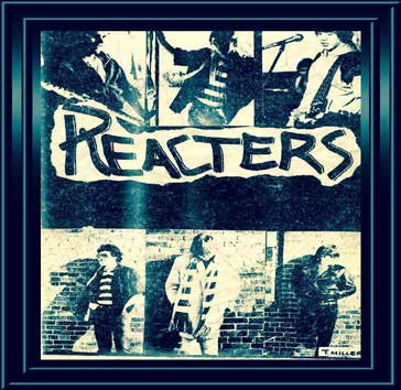 Reactors cover